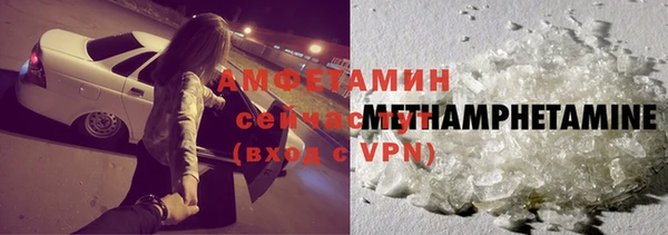 шишки Кодинск