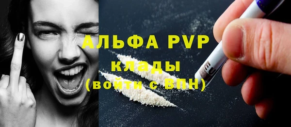шишки Кодинск