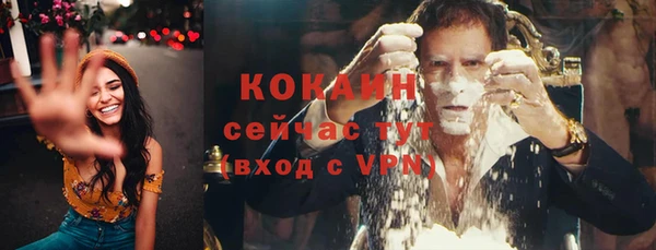 крисы Козловка