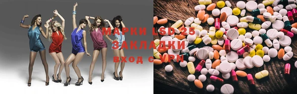 шишки Кодинск