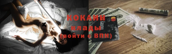 крисы Козловка