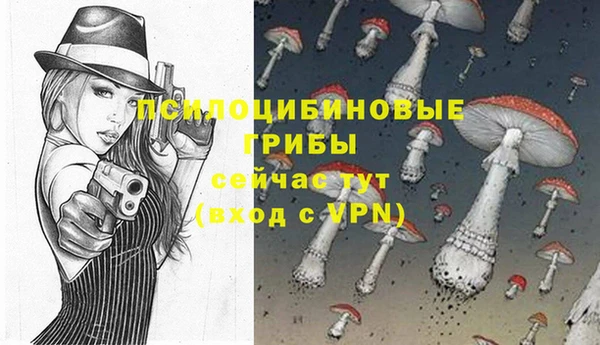 крисы Козловка