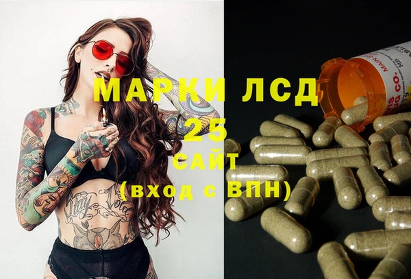крисы Козловка
