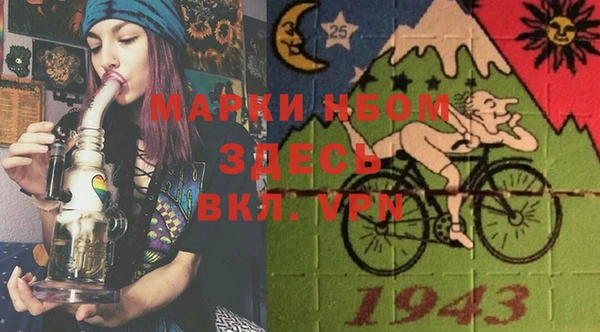 крисы Козловка