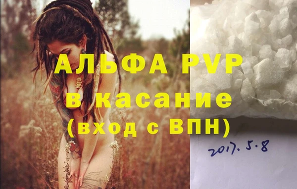 шишки Кодинск