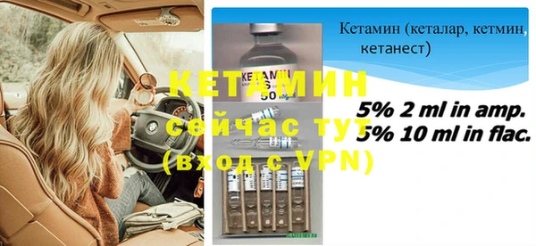 шишки Кодинск