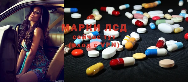 крисы Козловка