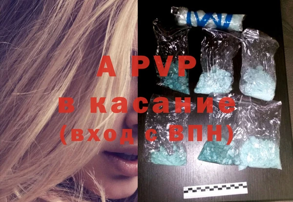 шишки Кодинск