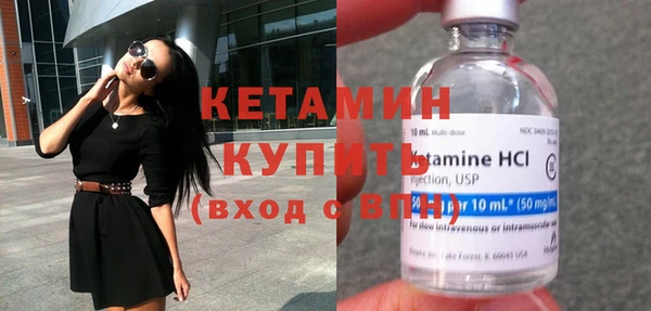 шишки Кодинск