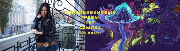 скорость Корсаков