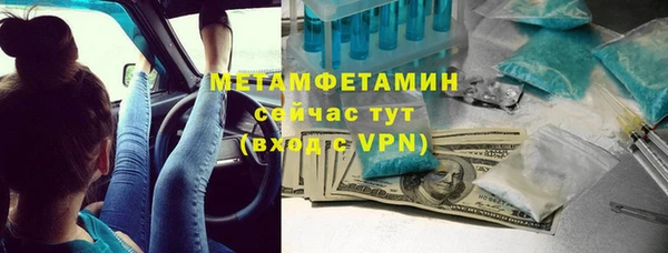 шишки Кодинск