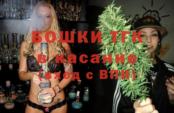 шишки Кодинск