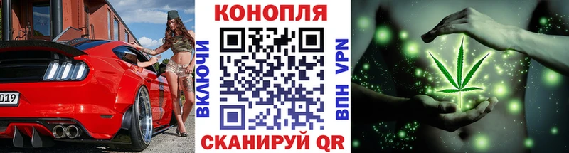 Купить закладки  Жиздра  Шишки марихуана тримм 